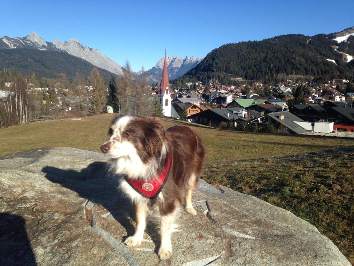 Fewo Lebensfreude Mittenwald Buitenkant foto