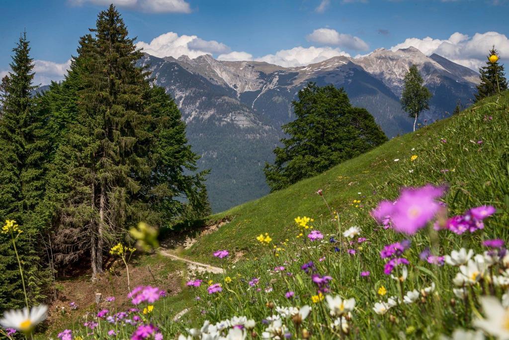 Fewo Lebensfreude Mittenwald Kamer foto